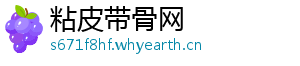 粘皮带骨网